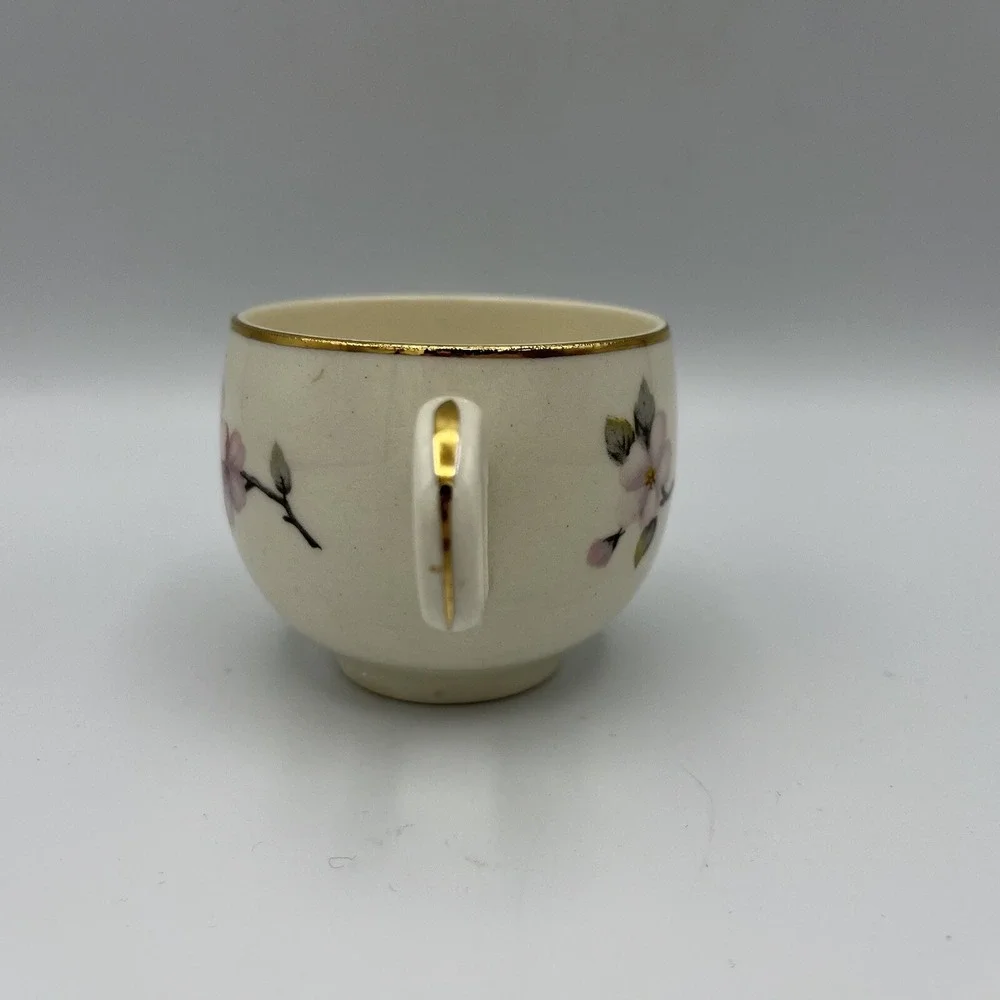 Vintage Homer Laughlin Demitasse Cup Saucer Eggshell Dogwood Floral Gold USA‎